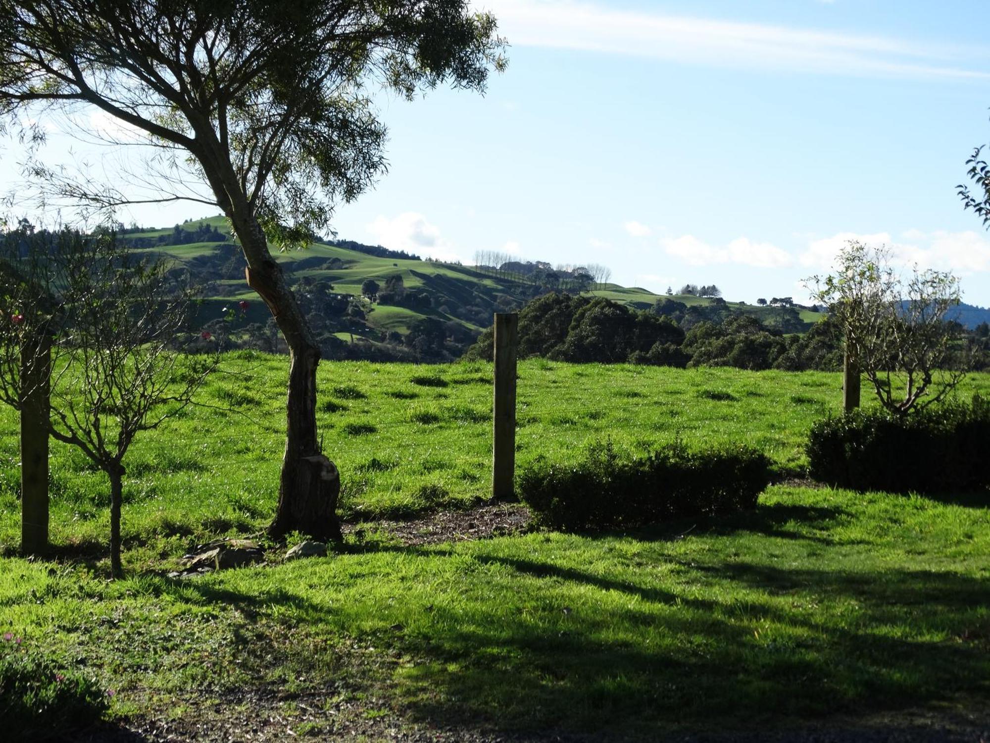 Kauri Lodge Karapiro المظهر الخارجي الصورة